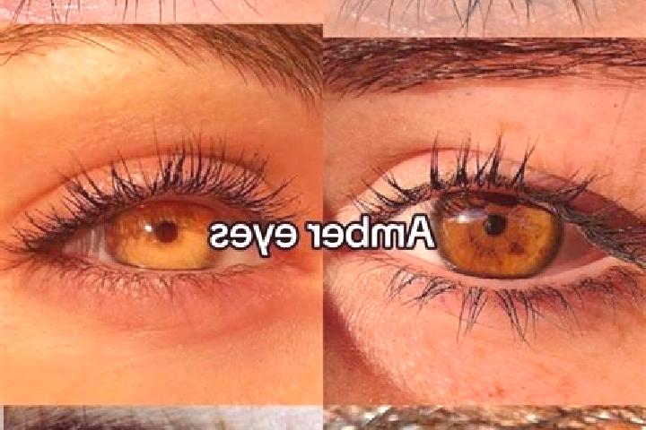 Ava, 37, a chestnut amber-eyed caribbean companion based in Tram Kak. Offering GFE, Dinner Date, Striptease. Available for incall and outcall, overnight book...