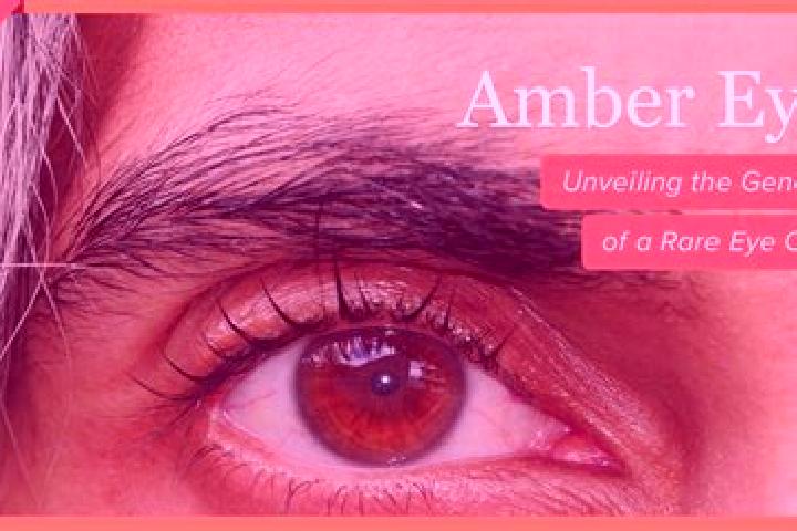 Ava, 37, a red amber-eyed caribbean companion based in Huajie. Offering GFE, Girlfriend Experience, Domination, Tantra. Available for incall and outcall, day...