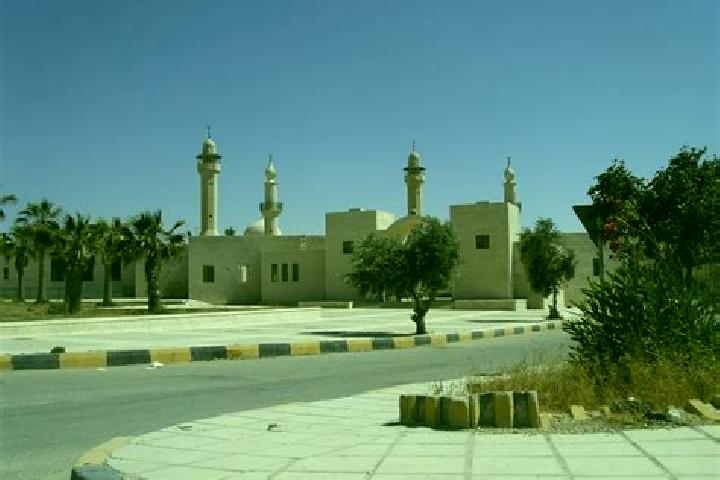 Ava, 37 — Escort in Al Mazar al Janubi, Jordan