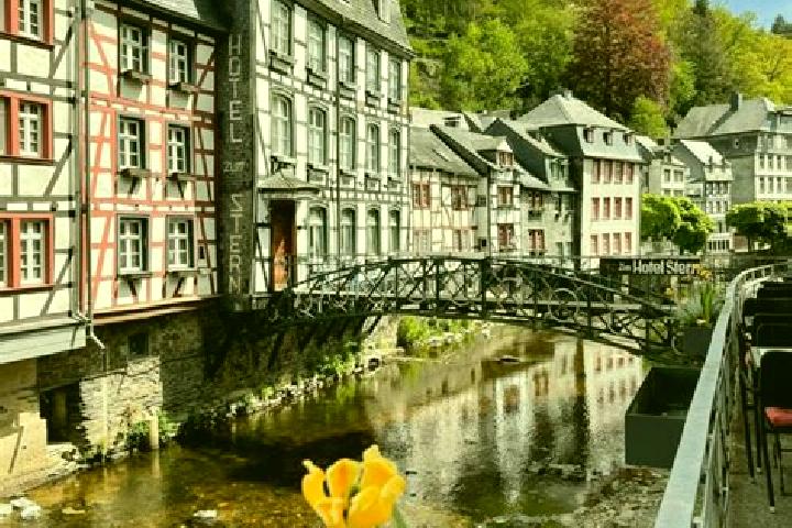 Ava, 37 — Escort in Bodenbach, Germany