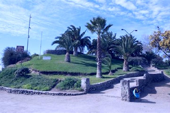 Ava, 37 — Escort in El Cerro, Spain