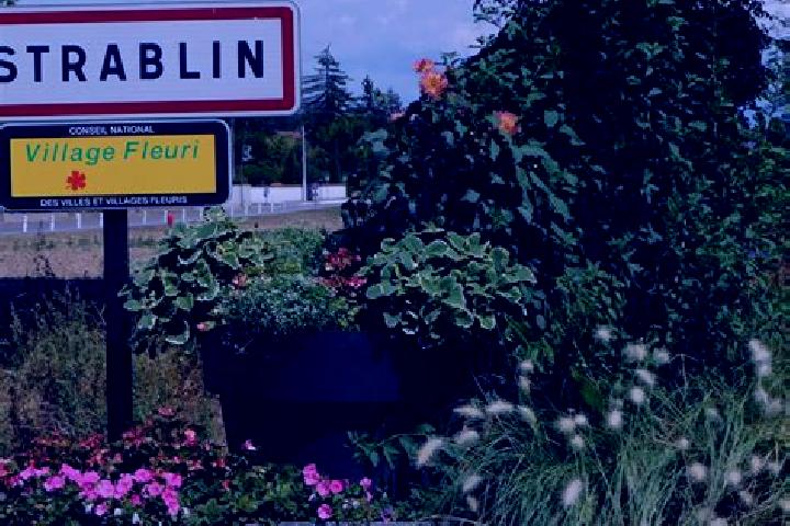 Ava, 37 — Escort in Estrablin, France