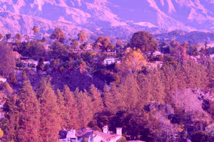 Ava, 37 — Escort in La Canada, Mexico