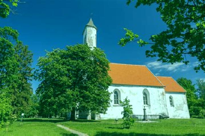 Ava, 37 — Escort in Risti, Estonia