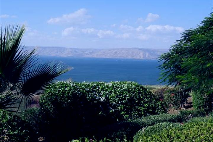 Ava, 37 — Escort in Tiberias, Israel