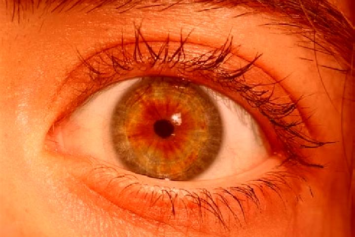 Ava, 38, a red hazel-eyed indian companion based in Monte Obscuro. Offering Domination, BDSM, Party Girl. Available for incall and outcall, overnight booking...