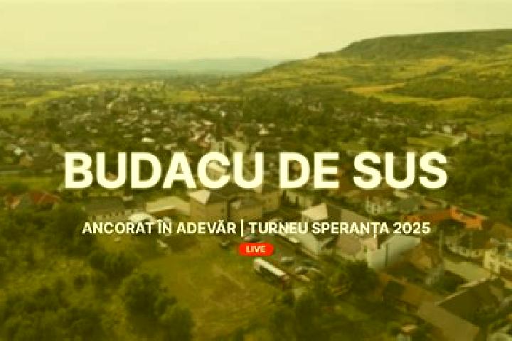 Ava, 38 — Escort in Budacu de Sus, Romania