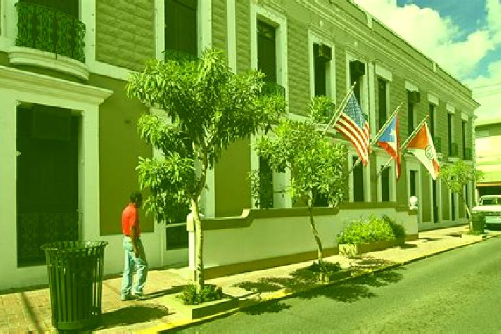 Ava, 38 — Escort in Cayey, Puerto Rico