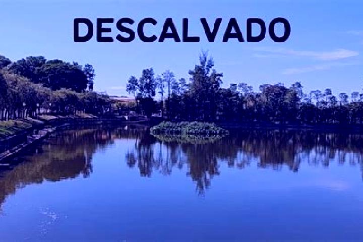 Ava, 38 — Escort in Descalvado, Brazil