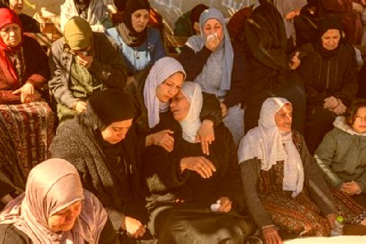 Ava, 38 — Escort in Qaryut, Palestine