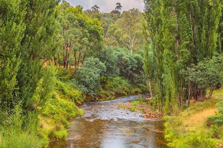 Ava, 38 — Escort in Southern River, Australia