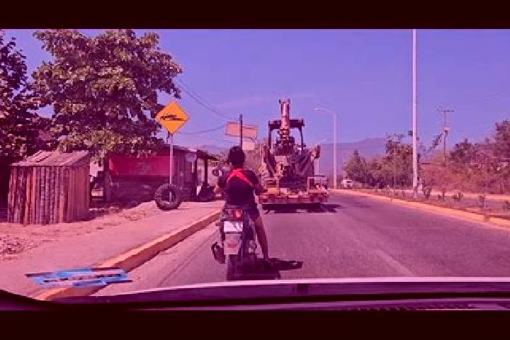 Ava, 39 — Escort in El Ciruelar, Mexico