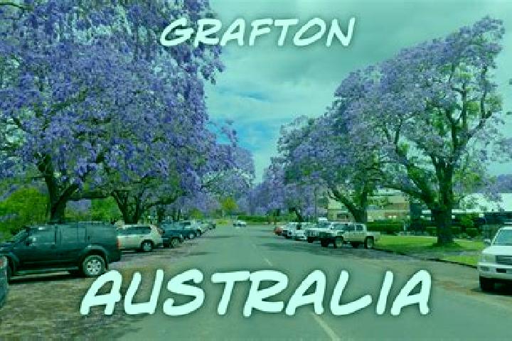 Ava, 39 — Escort in Grafton, Australia