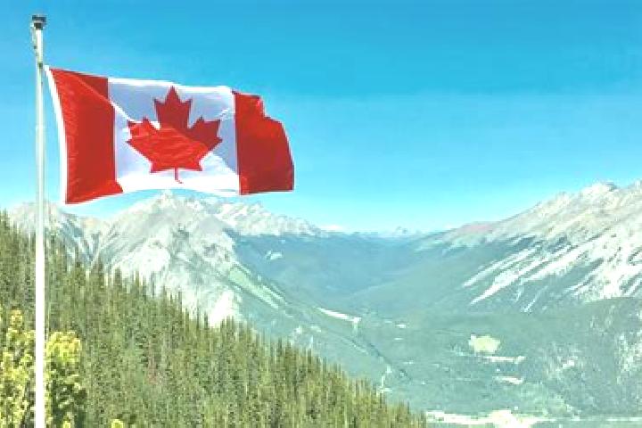 Ava, 39 — Escort in Mackenzie, Canada