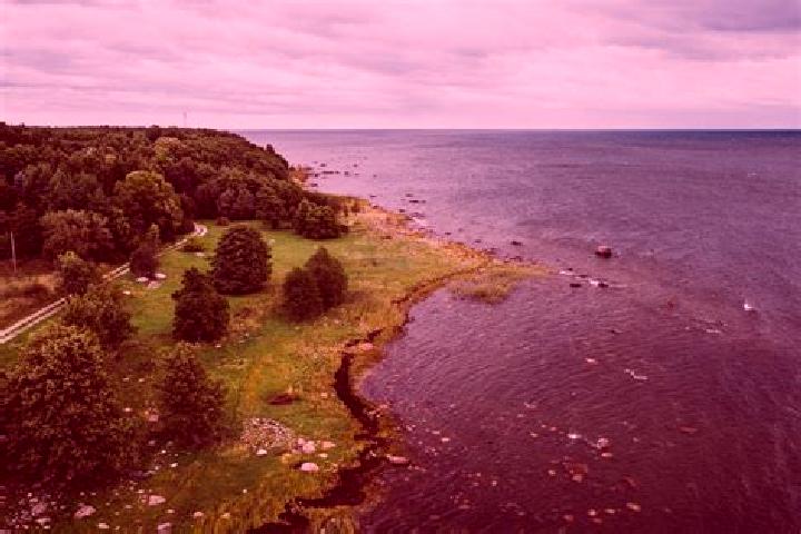 Ava, 39 — Escort in Maenniku, Estonia