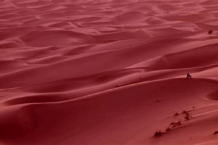 Ava, 39 — Escort in Meharrize, Western Sahara