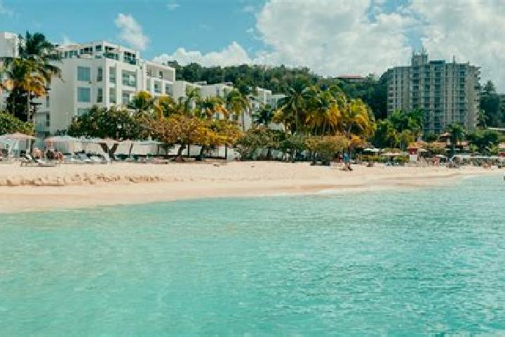 Ava, 39 — Escort in Montego Bay, Jamaica