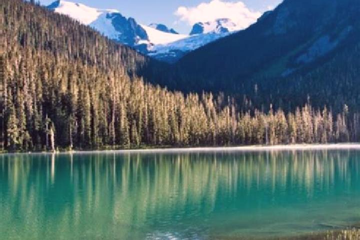 Ava, 39 — Escort in Pemberton, Canada