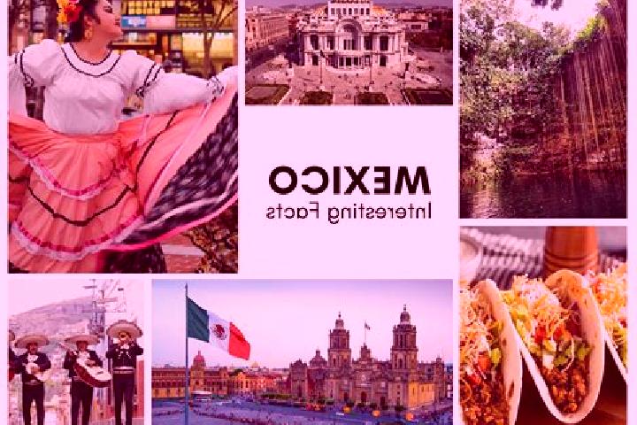 Ava, 39 — Escort in Pozos, Mexico
