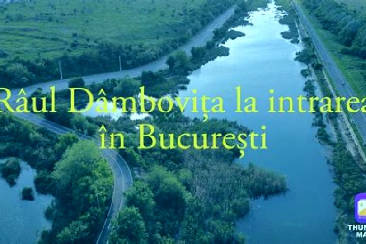Ava, 39 — Escort in Rau Alb de Sus, Romania