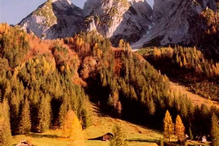 Ava, 39 — Escort in Simmering, Austria
