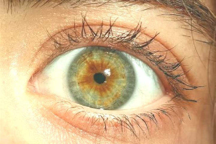 Avery, 20, a red hazel-eyed middle eastern companion based in Lingekoro. Offering Tantra, Domination, BDSM. Available for incall and outcall, overnight booki...