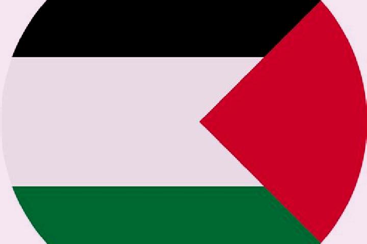 Avery, 21 — Escort in Jalqamus, Palestine