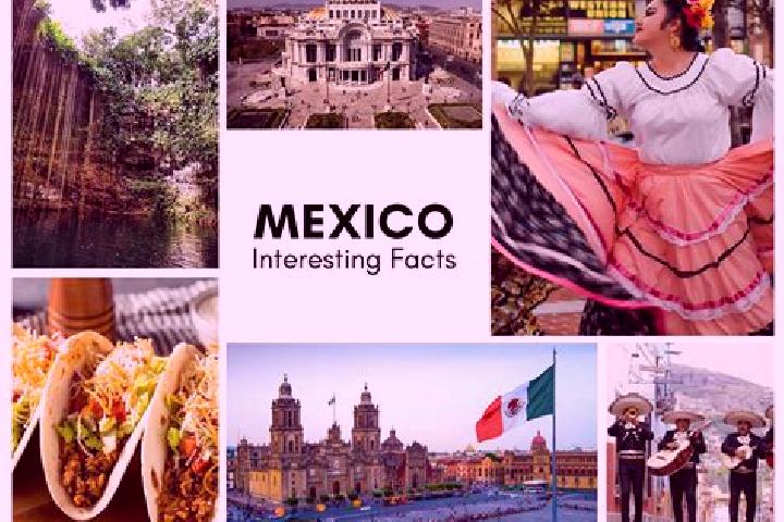 Avery, 21 — Escort in Mixcum, Mexico
