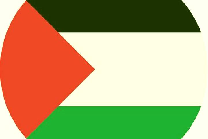 Avery, 21 — Escort in Sayda, Palestine