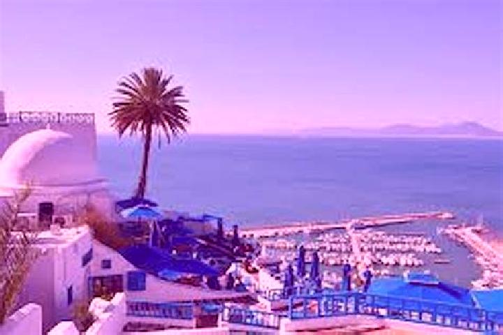 Avery, 21 — Escort in Sidi Bou Ali, Tunisia