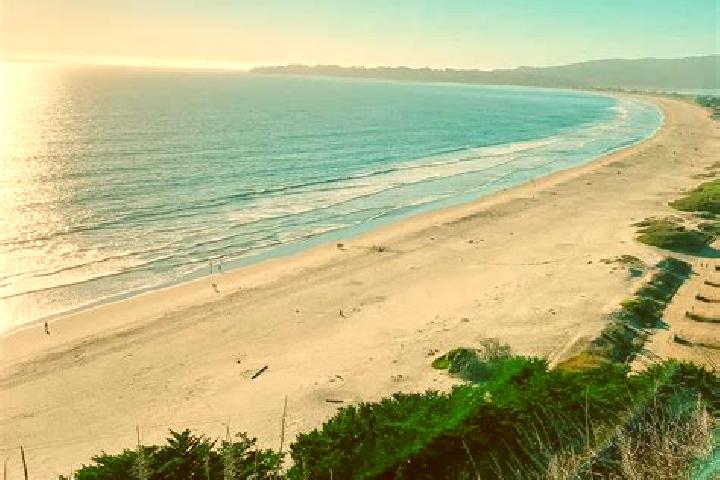 Avery, 21 — Escort in Stinson Beach, United States