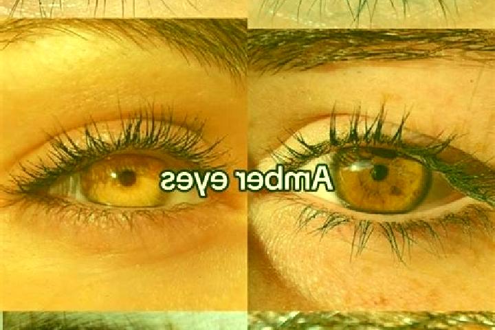 Avery, 22, a chestnut amber-eyed asian companion based in Georgenberg. Offering GFE, Striptease, Deep French Kissing. Available for incall and outcall, day a...