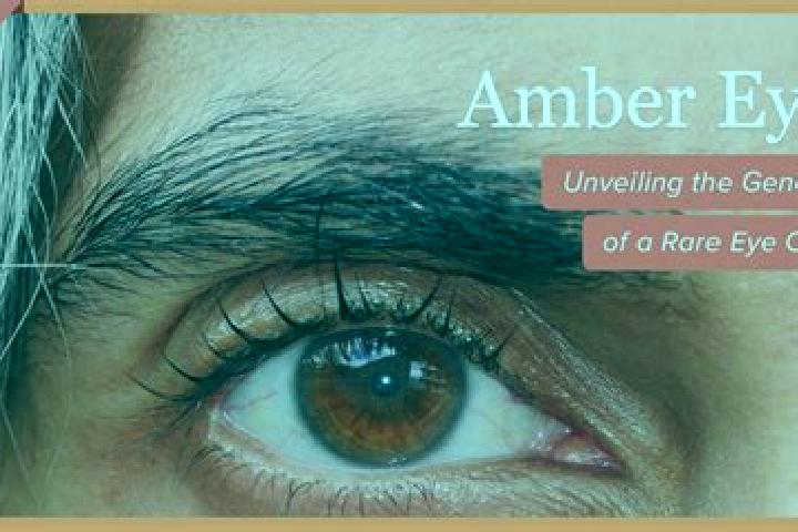 Avery, 22, a red amber-eyed caribbean companion based in Averara. Offering Party Girl, Domination, Erotic Massage, OWO, Tantra. Available for incall and outc...