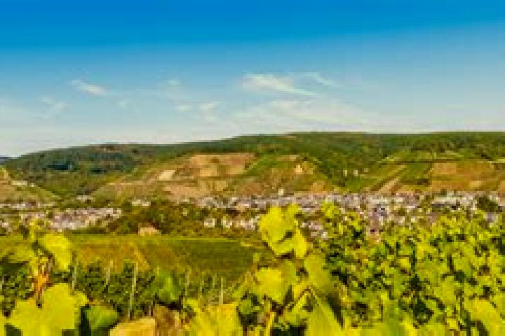 Avery, 22 — Escort in Bad Neuenahr-Ahrweiler, Germany