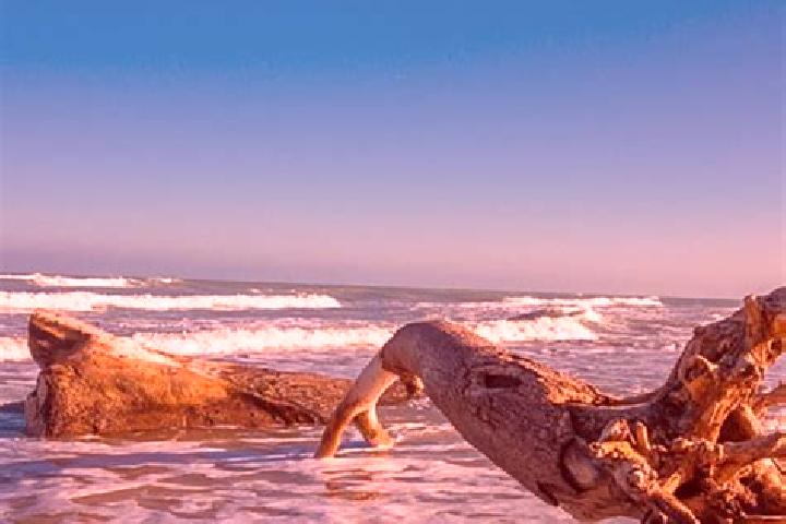 Avery, 22 — Escort in Barra del Tordo, Mexico