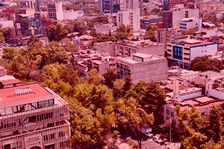 Avery, 22 — Escort in Colonia Rafael Corrales Ayala, Mexico