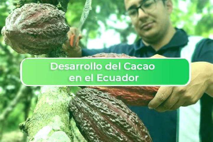 Avery, 22 — Escort in El Cacao, Panama