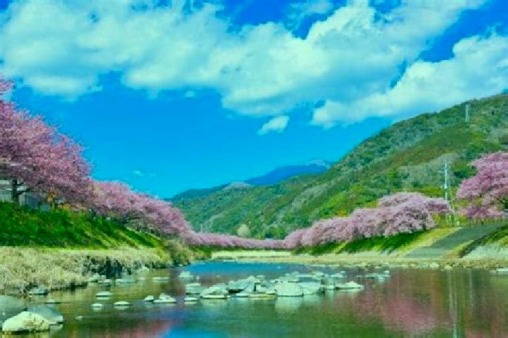Avery, 22 — Escort in Kawazu-ikadaba, Japan