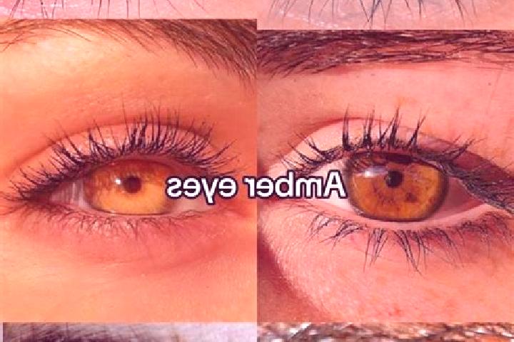 Avery, 23, a chestnut amber-eyed middle eastern companion based in Lafayette Hill. Offering Domination, 69. Available for incall and outcall, overnight booki...