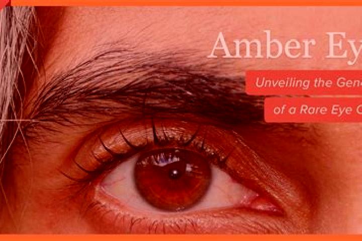 Avery, 23, a red amber-eyed mediterranean companion based in Amherst Center. Offering 69, Roleplay, Massage. Available for incall and outcall, day and evenin...