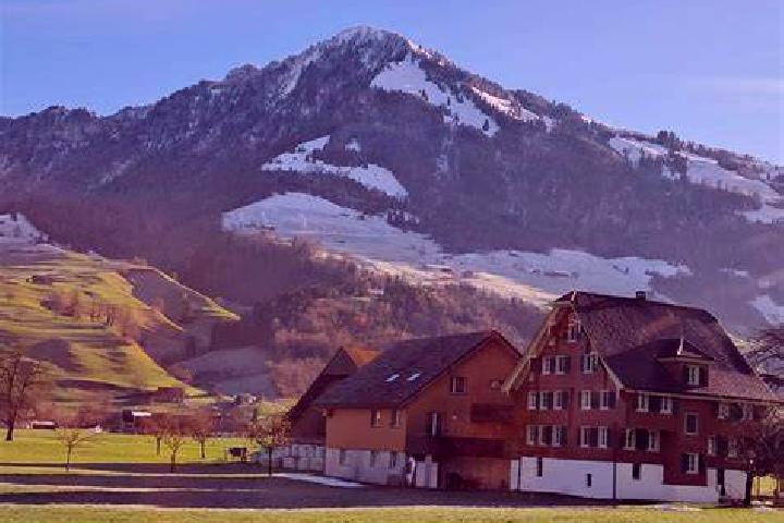 Avery, 23 — Escort in Schlieren / Kamp, Switzerland