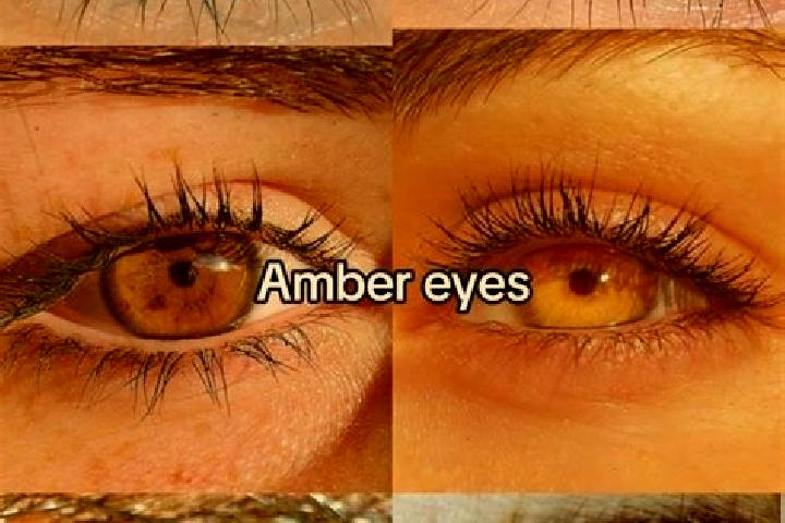 Avery, 24, a brunette amber-eyed mixed companion based in Battle. Offering Massage, Tantra, Duos. Available for incall and outcall, overnight bookings availa...
