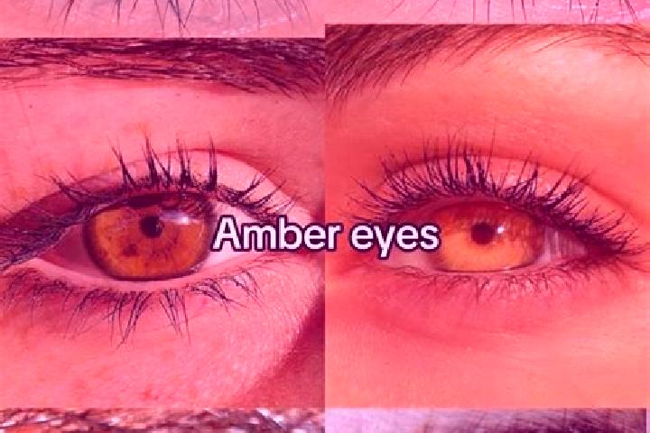 Avery, 24, a brunette amber-eyed mixed companion based in Panjing. Offering Duos, Girlfriend Experience, Couples, Travel Companion, Fetish. Available for inc...
