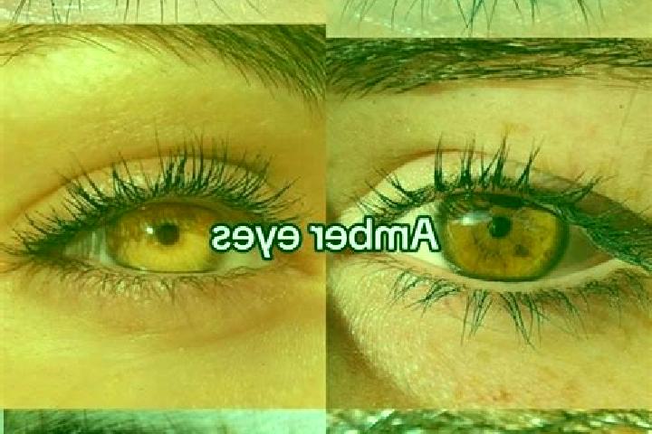 Avery, 24, a chestnut amber-eyed caucasian companion based in Hutten. Offering Dinner Date, Party Girl, Tantra, Overnight, Roleplay. Available for incall and...
