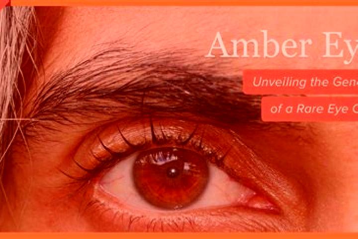 Avery, 24, a red amber-eyed caucasian companion based in Cortland West. Offering Tantra, GFE, Roleplay. Available for incall and outcall, day and evening dates.
