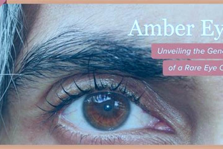 Avery, 24, a red amber-eyed mixed companion based in Saint-Simon. Offering Domination, Fetish, A-Level. Available for incall and outcall, day and evening dates.