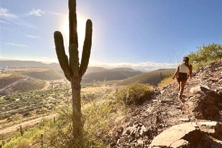 Avery, 24 — Escort in Cerro de Piedra, Mexico