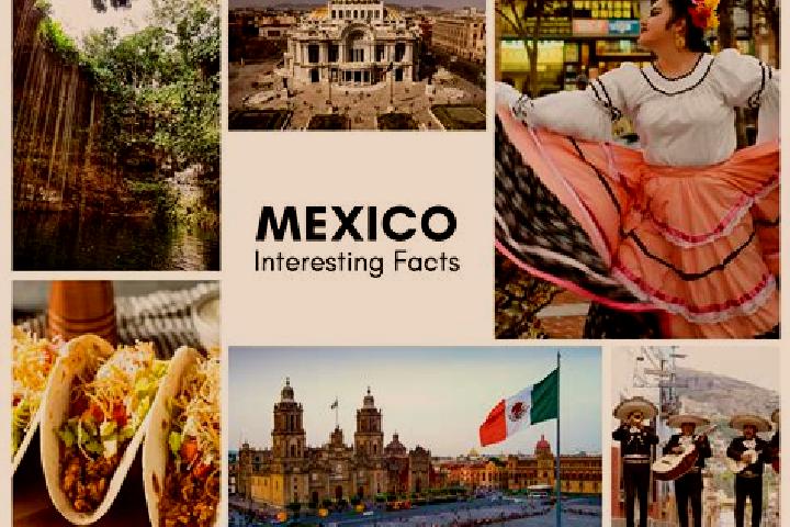 Avery, 24 — Escort in Chiltoyac, Mexico