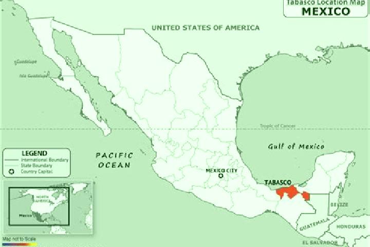 Avery, 24 — Escort in Mazoco, Mexico