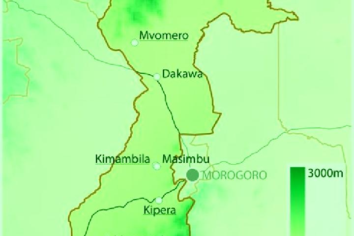 Avery, 24 — Escort in Mvomero, Tanzania